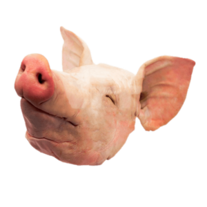 PORK HEAD (WHOLE)